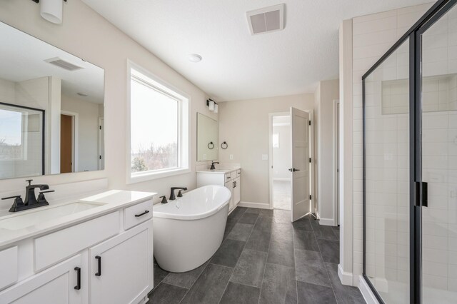 869 Greywood Blvd SW, Delano, MN 55328 - bathroom featuring a shower stall, a freestanding tub, two vanities, and baseboards