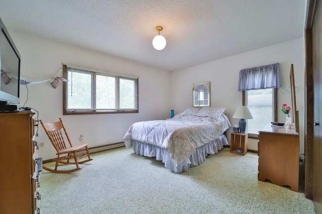 912 State 84 SW, Pine River, MN 56474 - carpeted bedroom featuring multiple windows