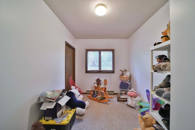 912 State 84 SW, Pine River, MN 56474 - game room featuring a textured ceiling and carpet flooring