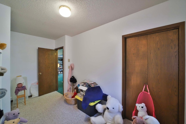912 State 84 SW, Pine River, MN 56474 - playroom with carpet flooring and a textured ceiling