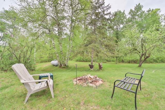 912 State 84 SW, Pine River, MN 56474 - view of grassy yard