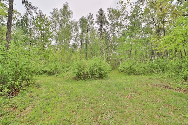912 State 84 SW, Pine River, MN 56474 - view of yard featuring a view of trees