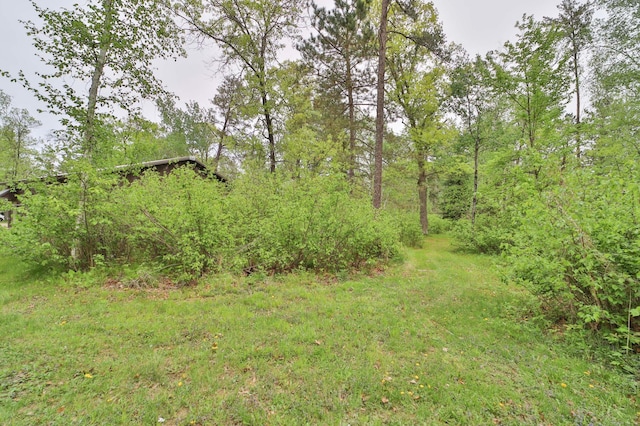 912 State 84 SW, Pine River, MN 56474 - view of yard