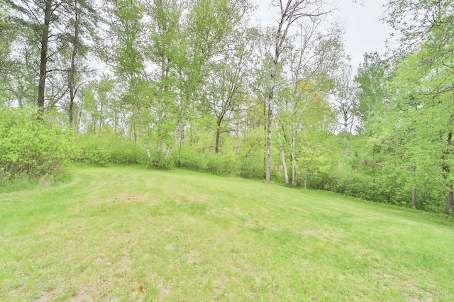 912 State 84 SW, Pine River, MN 56474 - view of grassy yard with a forest view
