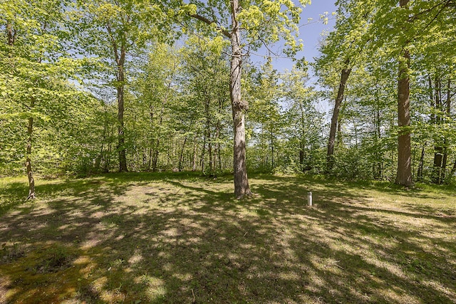 224 Norman Point Rd NW, Longville, MN 56655 - view of yard