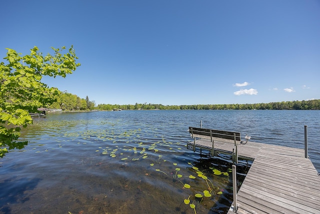 224 Norman Point Rd NW, Longville, MN 56655 - dock with a water view
