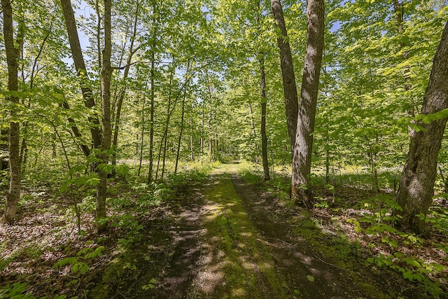 224 Norman Point Rd NW, Longville, MN 56655 - view of tree filled area