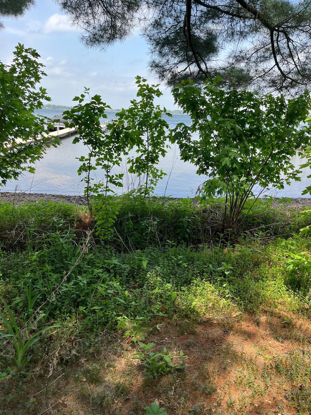 9726 210th Street Ct N, Forest Lake, MN 55025 - view of nature