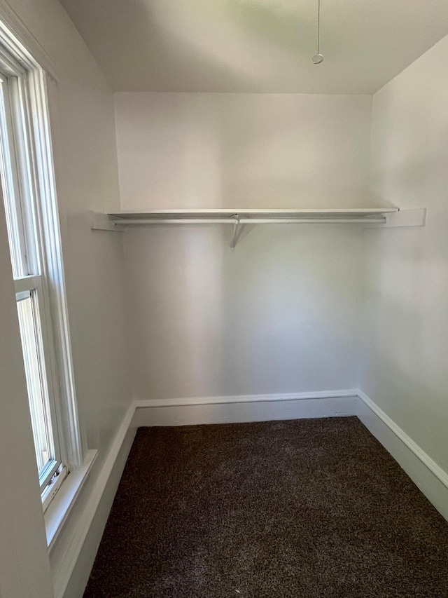 1030 28th Ave NE, Minneapolis, MN 55418 - spacious closet featuring carpet floors