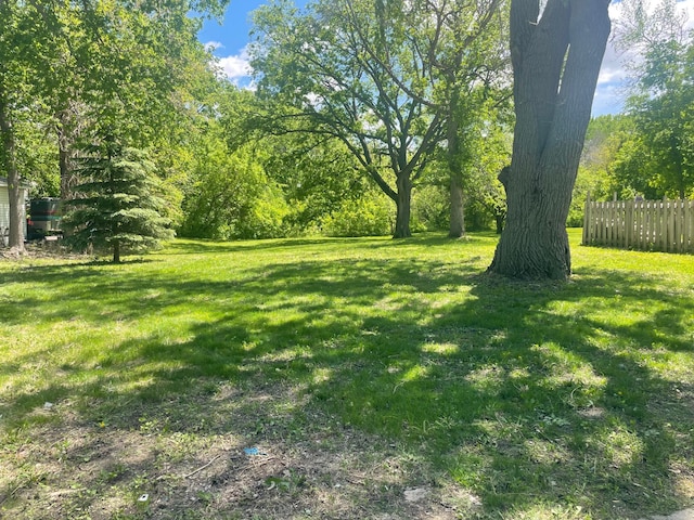 309 4th St, Marshall, MN 56258 - view of yard