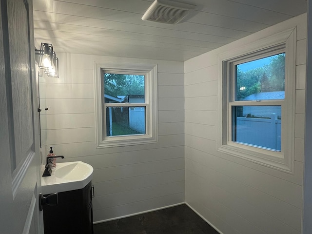309 4th St, Marshall, MN 56258 - bathroom featuring vanity and plenty of natural light