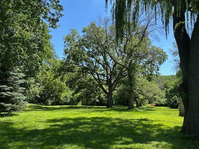 309 4th St, Marshall, MN 56258 - view of grassy yard