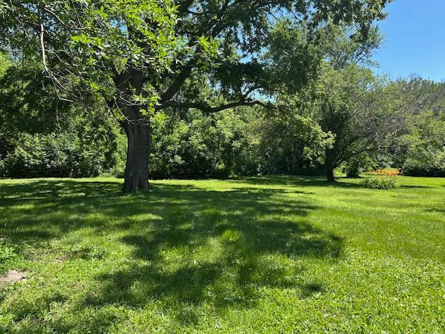 309 4th St, Marshall, MN 56258 - view of grassy yard featuring a wooded view