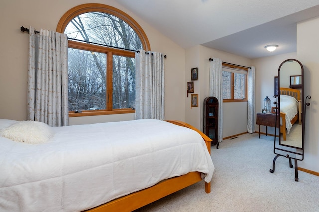 100 Hill Dr, Lime Twp, MN 56001 - bedroom with carpet floors, lofted ceiling, and baseboards