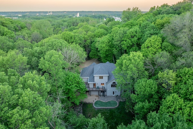 100 Hill Dr, Lime Twp, MN 56001 - aerial view at dusk of a forest view