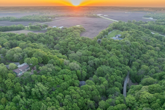 100 Hill Dr, Lime Twp, MN 56001 - aerial view at dusk of a forest view