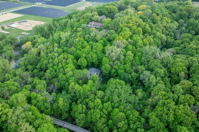 100 Hill Dr, Lime Twp, MN 56001 - drone / aerial view of a forest