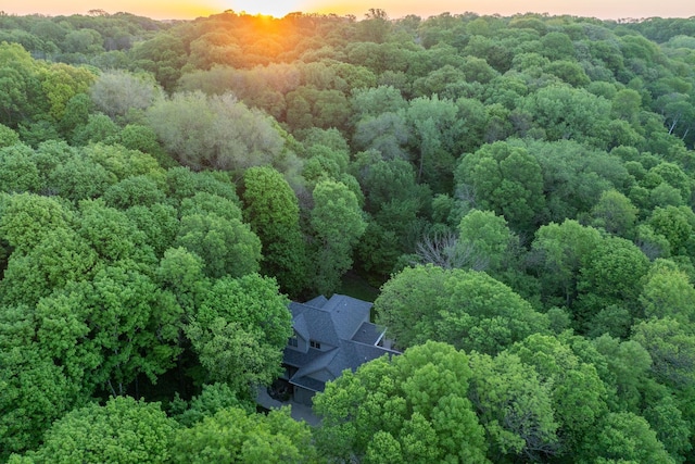 100 Hill Dr, Lime Twp, MN 56001 - view of subject property with a heavily wooded area
