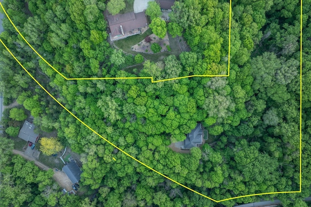 100 Hill Dr, Lime Twp, MN 56001 - aerial view of property's location featuring property boundaries highlighted