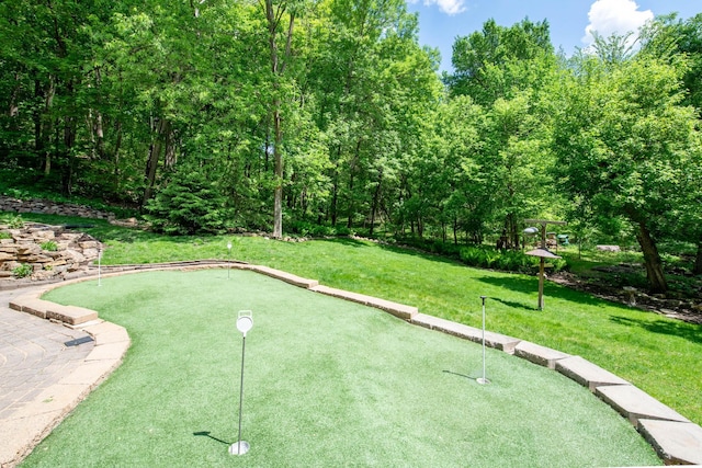 100 Hill Dr, Lime Twp, MN 56001 - view of home's community with a putting green and a yard