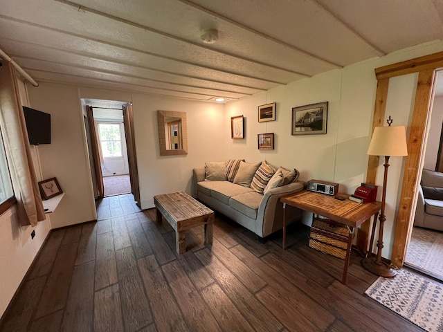 11216 State Highway 27, Beaver Twp, MN 55783 - living room featuring dark wood-style floors