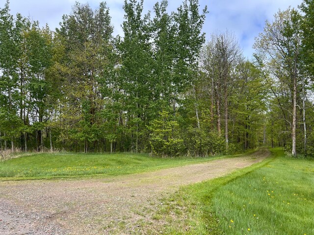 11216 State Highway 27, Beaver Twp, MN 55783 - view of street featuring a view of trees