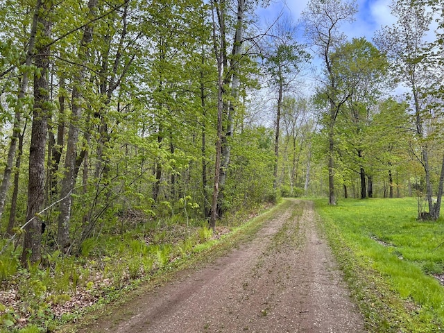 11216 State Highway 27, Beaver Twp, MN 55783 - view of dirt / gravel road featuring a view of trees