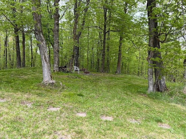 11216 State Highway 27, Beaver Twp, MN 55783 - view of yard featuring a forest view