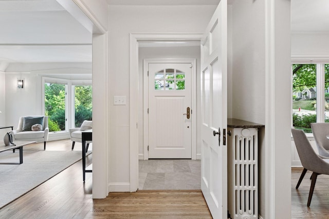 1215 Eleanor Ave, Saint Paul, MN 55116 - foyer entrance featuring radiator, plenty of natural light, and light wood finished floors