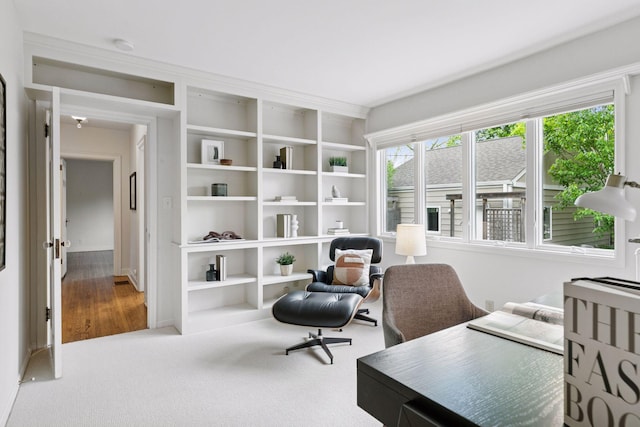 1215 Eleanor Ave, Saint Paul, MN 55116 - home office with carpet flooring