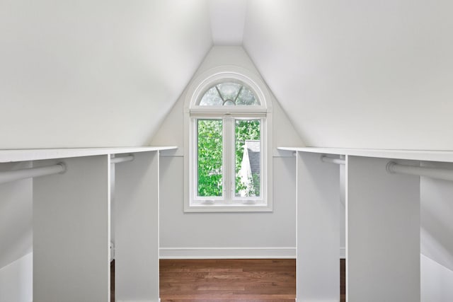 1215 Eleanor Ave, Saint Paul, MN 55116 - walk in closet with wood finished floors and vaulted ceiling