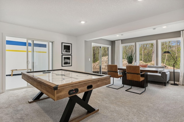 15630 112th St, Dayton, MN 55369 - recreation room featuring carpet, recessed lighting, and a textured ceiling