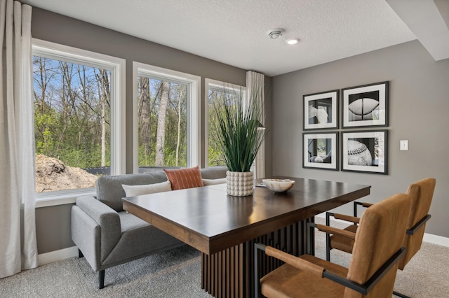 15630 112th St, Dayton, MN 55369 - dining area featuring light colored carpet, baseboards, and a textured ceiling