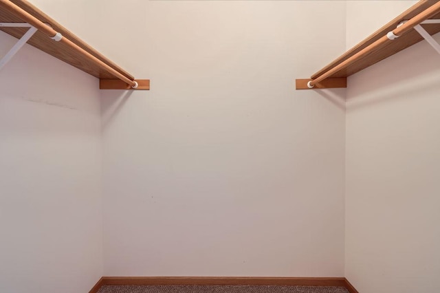 7293 Savanna Ct, Lino Lakes, MN 55014 - walk in closet featuring carpet floors