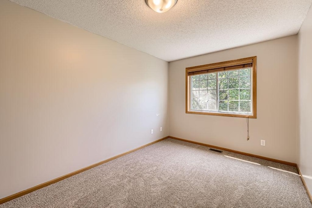 7293 Savanna Ct, Lino Lakes, MN 55014 - spare room with carpet floors and a textured ceiling