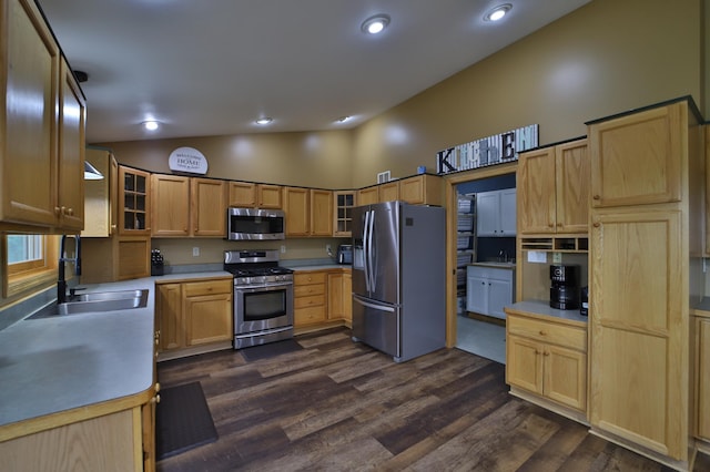 4741 Briarwood Ln, Baxter, MN 56425 - kitchen featuring stainless steel appliances, glass insert cabinets, light brown cabinets, dark wood-style flooring, and recessed lighting