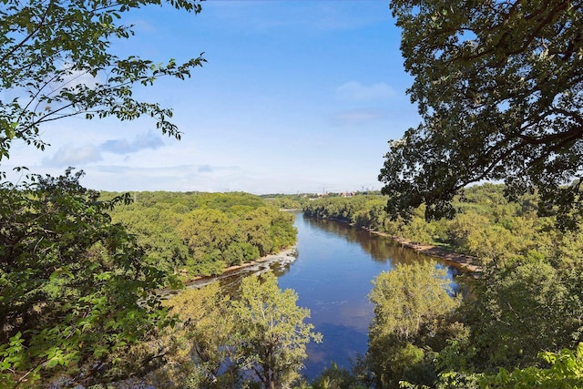 1022 Fairview Ave S, Saint Paul, MN 55116 - water view