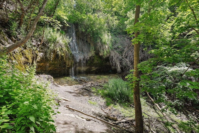 1022 Fairview Ave S, Saint Paul, MN 55116 - view of tree filled area