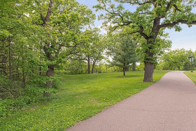 1022 Fairview Ave S, Saint Paul, MN 55116 - view of home's community with a yard