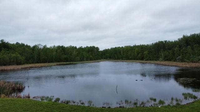 16183 165th St NE, Foley, MN 56329 - photo 6