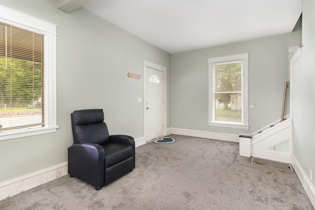 1430 Penn Ave N, Minneapolis, MN 55411 - living area with carpet floors and baseboards