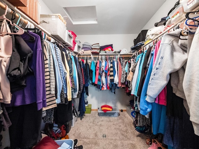 509 Kinkead Dr NW, Alexandria, MN 56308 - walk in closet with attic access and carpet floors