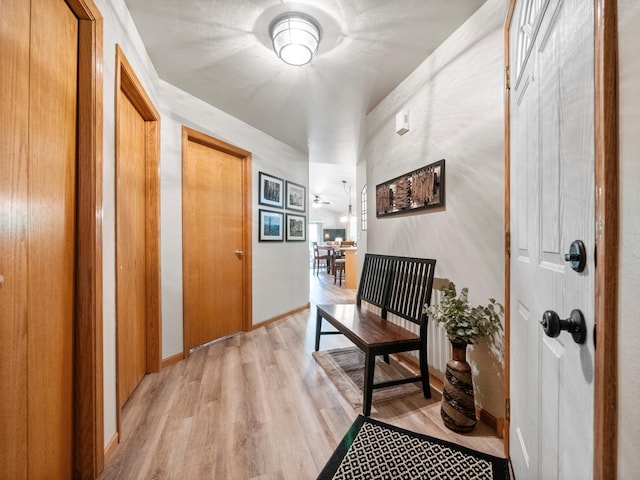 509 Kinkead Dr NW, Alexandria, MN 56308 - entrance foyer with light wood-style flooring and baseboards