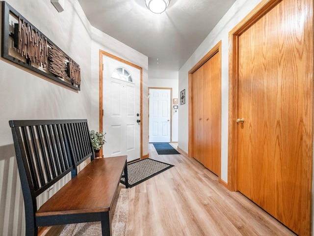 509 Kinkead Dr NW, Alexandria, MN 56308 - foyer with light wood-style floors and baseboards