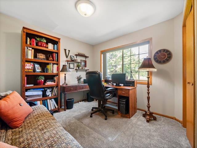 509 Kinkead Dr NW, Alexandria, MN 56308 - office space with carpet flooring and baseboards