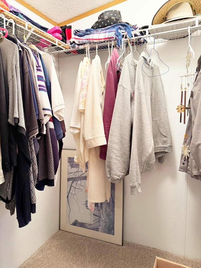 20429 326th Ave Unit 15, Isle, MN 56342 - spacious closet featuring carpet floors
