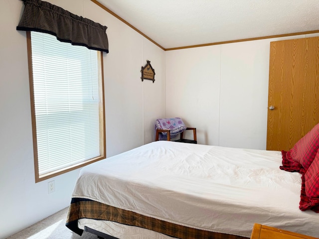 20429 326th Ave Unit 15, Isle, MN 56342 - bedroom with ornamental molding, carpet floors, and multiple windows