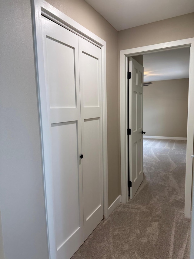 14646 Tradewinds Rd, Lake Eunice Twp, MN 56511 - hall with carpet and baseboards