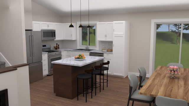 829 Grant St, Ellsworth, WI 54011 - kitchen featuring stainless steel appliances, dark wood-style flooring, a breakfast bar area, a sink, and lofted ceiling