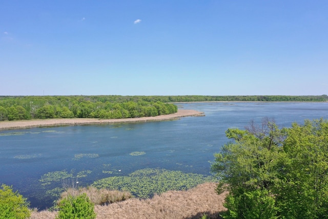 1803 214th Ave NE, East Bethel, MN 55011 - water view with a forest